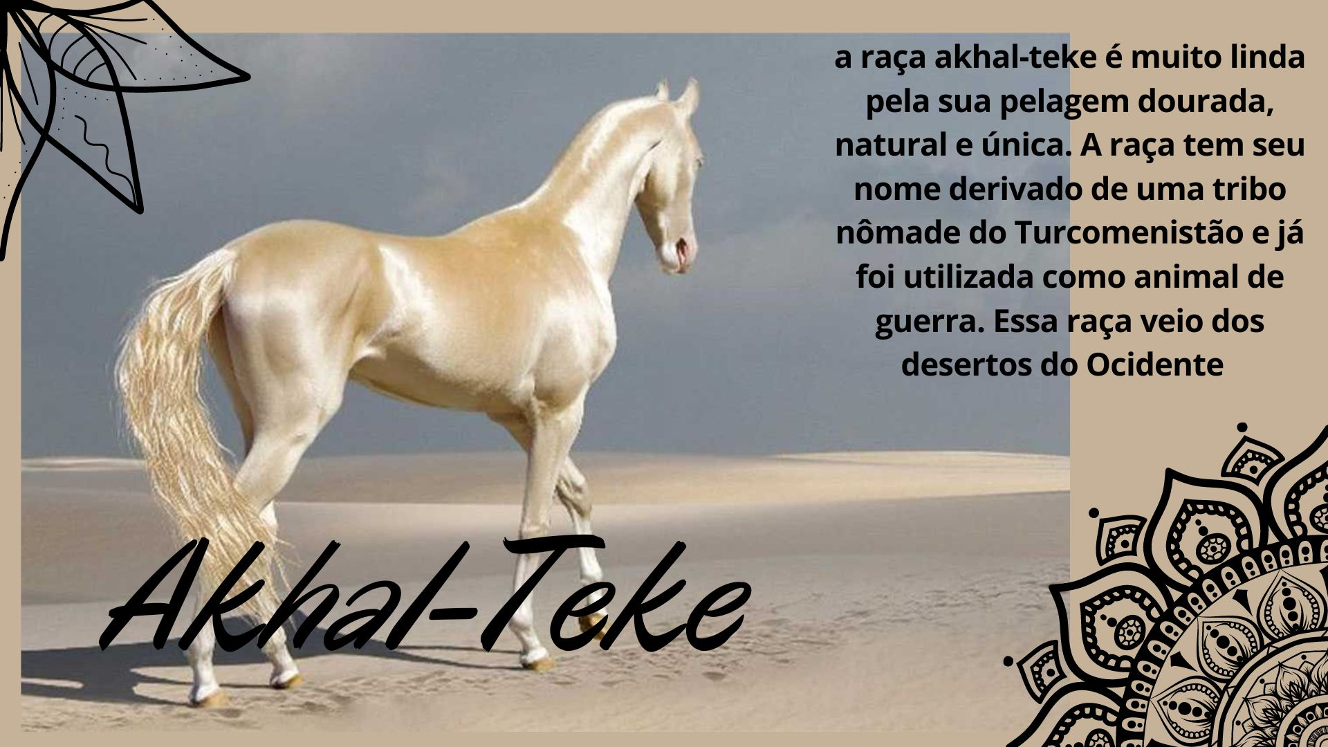 akhat-teke